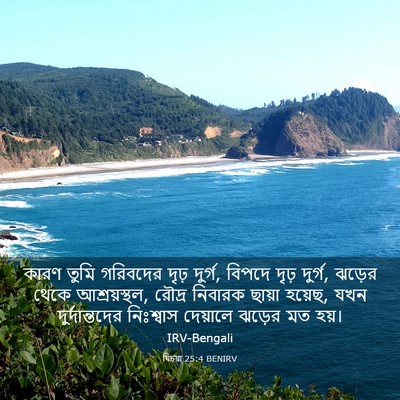Picture 03 - যিচয়া 25:4 BENIRV - কারণ তুমি গরিবদের - Bible Verse Picture