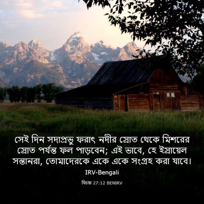 Picture 03 - যিচয়া 27:12 BENIRV - সেই দিন সদাপ্রভু - Bible Verse Picture