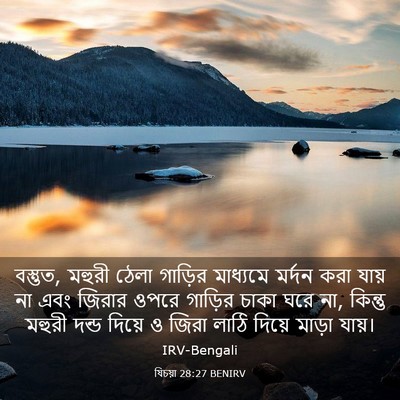 Picture 03 - যিচয়া 28:27 BENIRV - বস্তুত, মহুরী ঠেলা - Bible Verse Picture