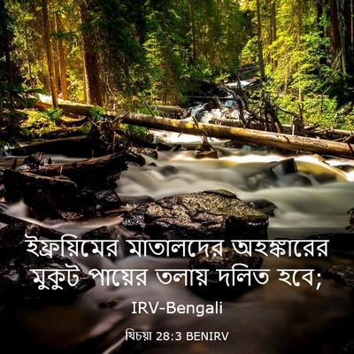 Picture 03 - যিচয়া 28:3 BENIRV - ইফ্রয়িমের - Bible Verse Picture