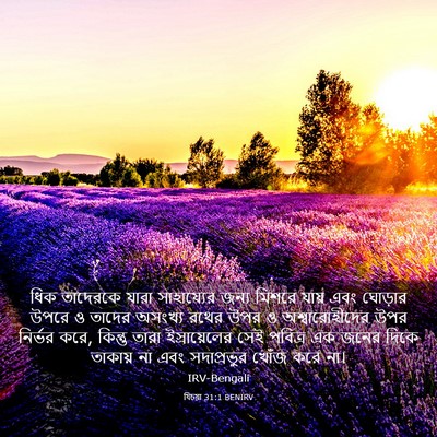 Picture 03 - যিচয়া 31:1 BENIRV - ধিক তাদেরকে যারা - Bible Verse Picture
