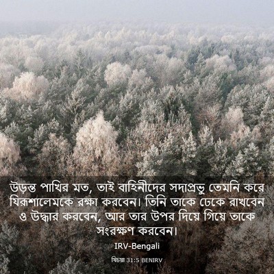 Picture 03 - যিচয়া 31:5 BENIRV - উড়ন্ত পাখির মত, - Bible Verse Picture