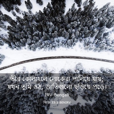 Picture 03 - যিচয়া 33:3 BENIRV - তীব্র কোলাহলে - Bible Verse Picture