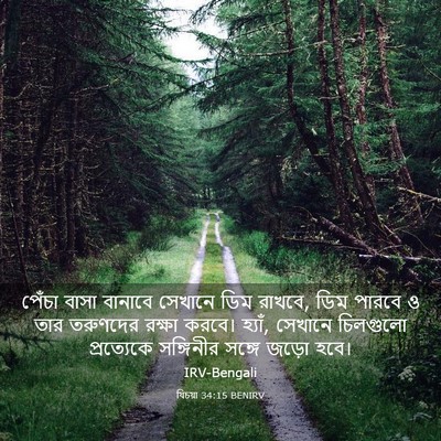 Picture 03 - যিচয়া 34:15 BENIRV - পেঁচা বাসা বানাবে - Bible Verse Picture