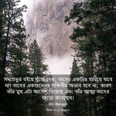 Picture 03 - যিচয়া 34:16 BENIRV - সদাপ্রভুর বইয়ে - Bible Verse Picture
