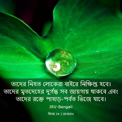 Picture 03 - যিচয়া 34:3 BENIRV - তাদের নিহত লোকেরা - Bible Verse Picture