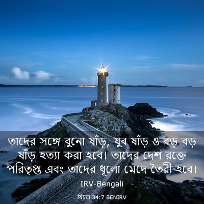 Picture 03 - যিচয়া 34:7 BENIRV - তাদের সঙ্গে বুনো - Bible Verse Picture
