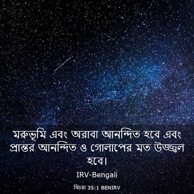 Picture 03 - যিচয়া 35:1 BENIRV - মরুভূমি এবং অরাবা - Bible Verse Picture