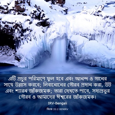 Picture 03 - যিচয়া 35:2 BENIRV - এটি প্রচুর - Bible Verse Picture