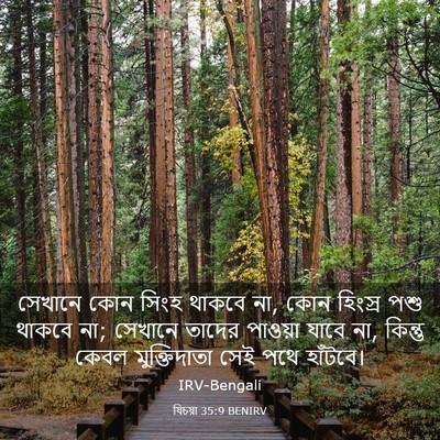 Picture 03 - যিচয়া 35:9 BENIRV - সেখানে কোন সিংহ - Bible Verse Picture
