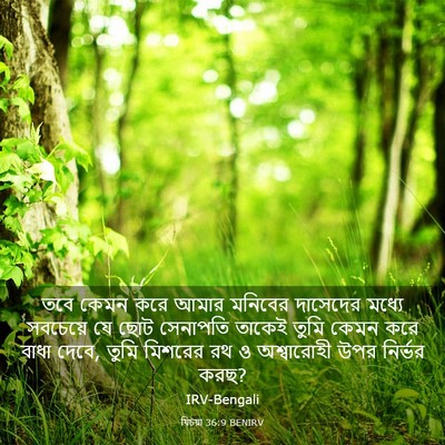 Picture 03 - যিচয়া 36:9 BENIRV - তবে কেমন করে আমার - Bible Verse Picture