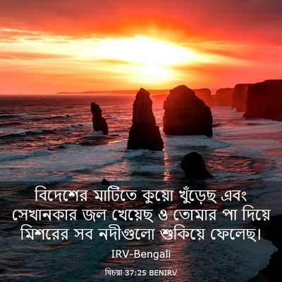 Picture 03 - যিচয়া 37:25 BENIRV - বিদেশের মাটিতে - Bible Verse Picture
