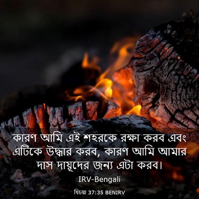 Picture 03 - যিচয়া 37:35 BENIRV - কারণ আমি এই শহরকে - Bible Verse Picture