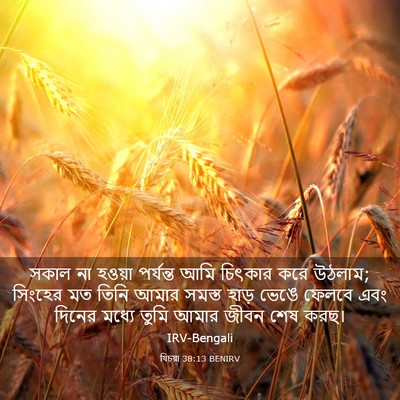 Picture 03 - যিচয়া 38:13 BENIRV - সকাল না হওয়া - Bible Verse Picture