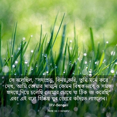 Picture 03 - যিচয়া 38:3 BENIRV - সে বলেছিল, - Bible Verse Picture