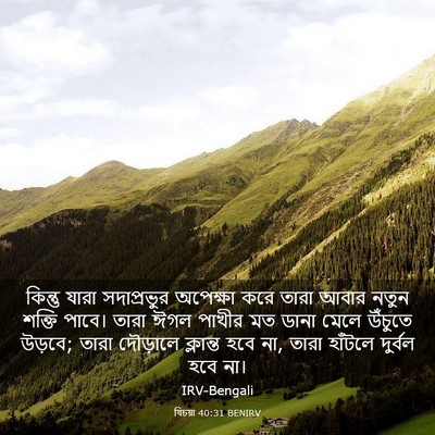 Picture 03 - যিচয়া 40:31 BENIRV - কিন্তু যারা - Bible Verse Picture