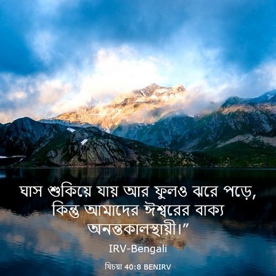 Picture 03 - যিচয়া 40:8 BENIRV - ঘাস শুকিয়ে যায় - Bible Verse Picture
