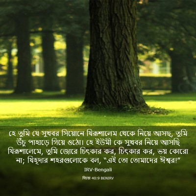 Picture 03 - যিচয়া 40:9 BENIRV - হে তুমি যে সুখবর - Bible Verse Picture