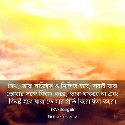 Picture 03 - যিচয়া 41:11 BENIRV - দেখ, তারা লজ্জিত ও - Bible Verse Picture