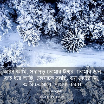 Picture 03 - যিচয়া 41:13 BENIRV - কারণ আমি, সদাপ্রভু - Bible Verse Picture