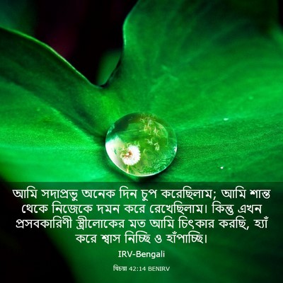 Picture 03 - যিচয়া 42:14 BENIRV - আমি সদাপ্রভু অনেক - Bible Verse Picture