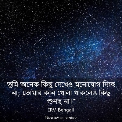 Picture 03 - যিচয়া 42:20 BENIRV - তুমি অনেক কিছু - Bible Verse Picture