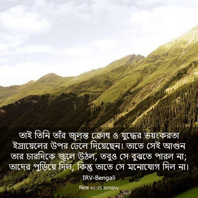 Picture 03 - যিচয়া 42:25 BENIRV - তাই তিনি তাঁর - Bible Verse Picture