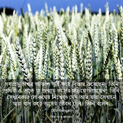 Picture 03 - যিচয়া 42:5 BENIRV - সদাপ্রভু ঈশ্বর - Bible Verse Picture