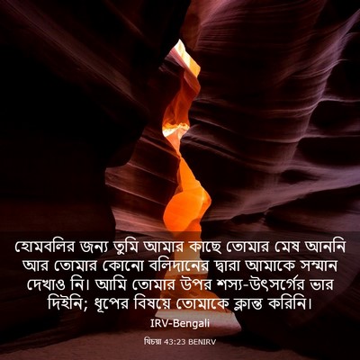 Picture 03 - যিচয়া 43:23 BENIRV - হোমবলির জন্য তুমি - Bible Verse Picture