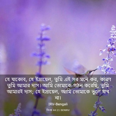 Picture 03 - যিচয়া 44:21 BENIRV - হে যাকোব, হে - Bible Verse Picture