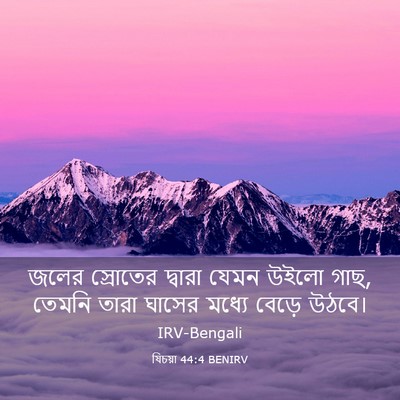 Picture 03 - যিচয়া 44:4 BENIRV - জলের স্রোতের - Bible Verse Picture
