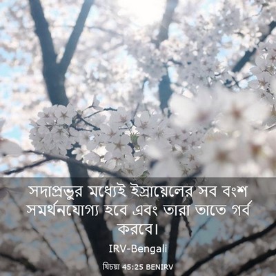 Picture 03 - যিচয়া 45:25 BENIRV - সদাপ্রভুর মধ্যেই - Bible Verse Picture