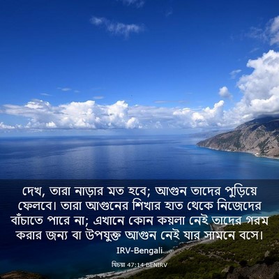 Picture 03 - যিচয়া 47:14 BENIRV - দেখ, তারা নাড়ার মত - Bible Verse Picture