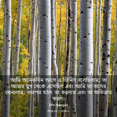 Picture 03 - যিচয়া 48:3 BENIRV - আমি অনেকদিন আগে এ - Bible Verse Picture