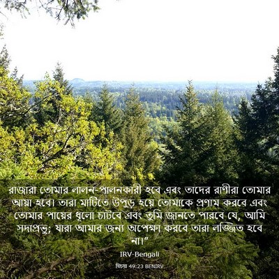 Picture 03 - যিচয়া 49:23 BENIRV - রাজারা তোমার - Bible Verse Picture