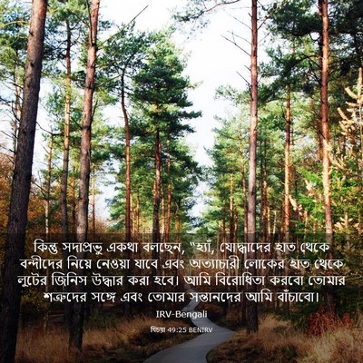 Picture 03 - যিচয়া 49:25 BENIRV - কিন্তু সদাপ্রভু - Bible Verse Picture