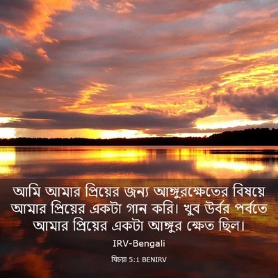 Picture 03 - যিচয়া 5:1 BENIRV - আমি আমার প্রিয়ের - Bible Verse Picture