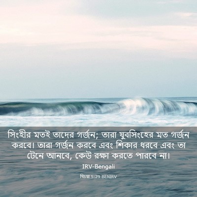 Picture 03 - যিচয়া 5:29 BENIRV - সিংহীর মতই তাদের - Bible Verse Picture