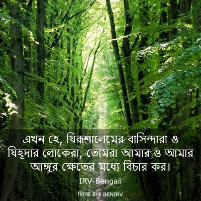 Picture 03 - যিচয়া 5:3 BENIRV - এখন হে, - Bible Verse Picture