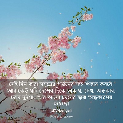 Picture 03 - যিচয়া 5:30 BENIRV - সেই দিন তারা - Bible Verse Picture