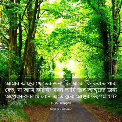 Picture 03 - যিচয়া 5:4 BENIRV - আমার আঙ্গুর - Bible Verse Picture