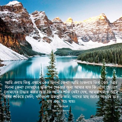 Picture 03 - যিচয়া 50:2 BENIRV - আমি এলাম কিন্তু - Bible Verse Picture