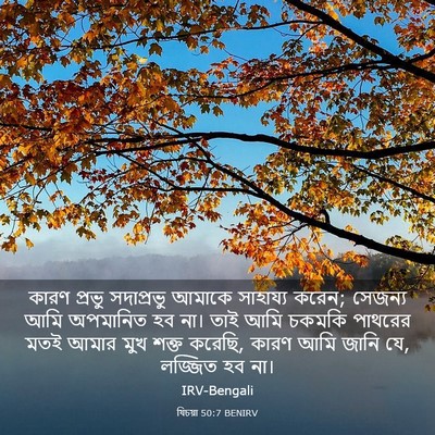 Picture 03 - যিচয়া 50:7 BENIRV - কারণ প্রভু - Bible Verse Picture