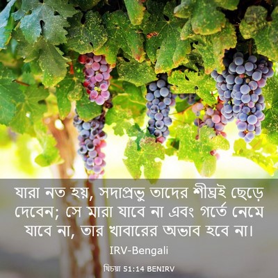 Picture 03 - যিচয়া 51:14 BENIRV - যারা নত হয়, - Bible Verse Picture