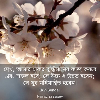 Picture 03 - যিচয়া 52:13 BENIRV - দেখ, আমার চাকর - Bible Verse Picture