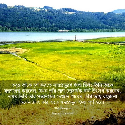 Picture 03 - যিচয়া 53:10 BENIRV - তবুও তাকে চূর্ণ - Bible Verse Picture