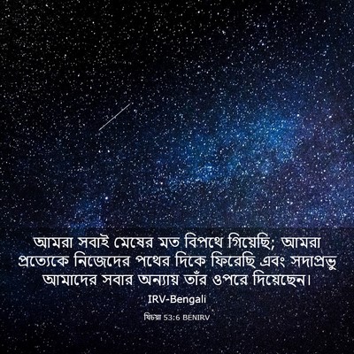 Picture 03 - যিচয়া 53:6 BENIRV - আমরা সবাই মেষের মত - Bible Verse Picture