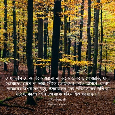 Picture 03 - যিচয়া 55:5 BENIRV - দেখ, তুমি যে জাতিকে - Bible Verse Picture