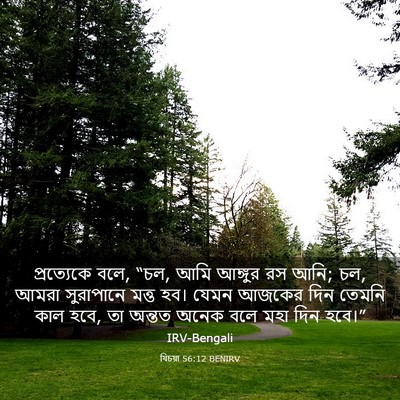 Picture 03 - যিচয়া 56:12 BENIRV - প্রত্যেকে বলে, “চল, - Bible Verse Picture