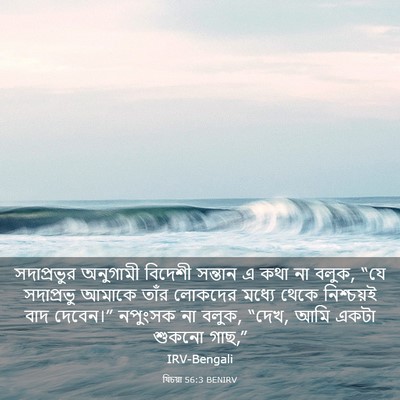 Picture 03 - যিচয়া 56:3 BENIRV - সদাপ্রভুর অনুগামী - Bible Verse Picture